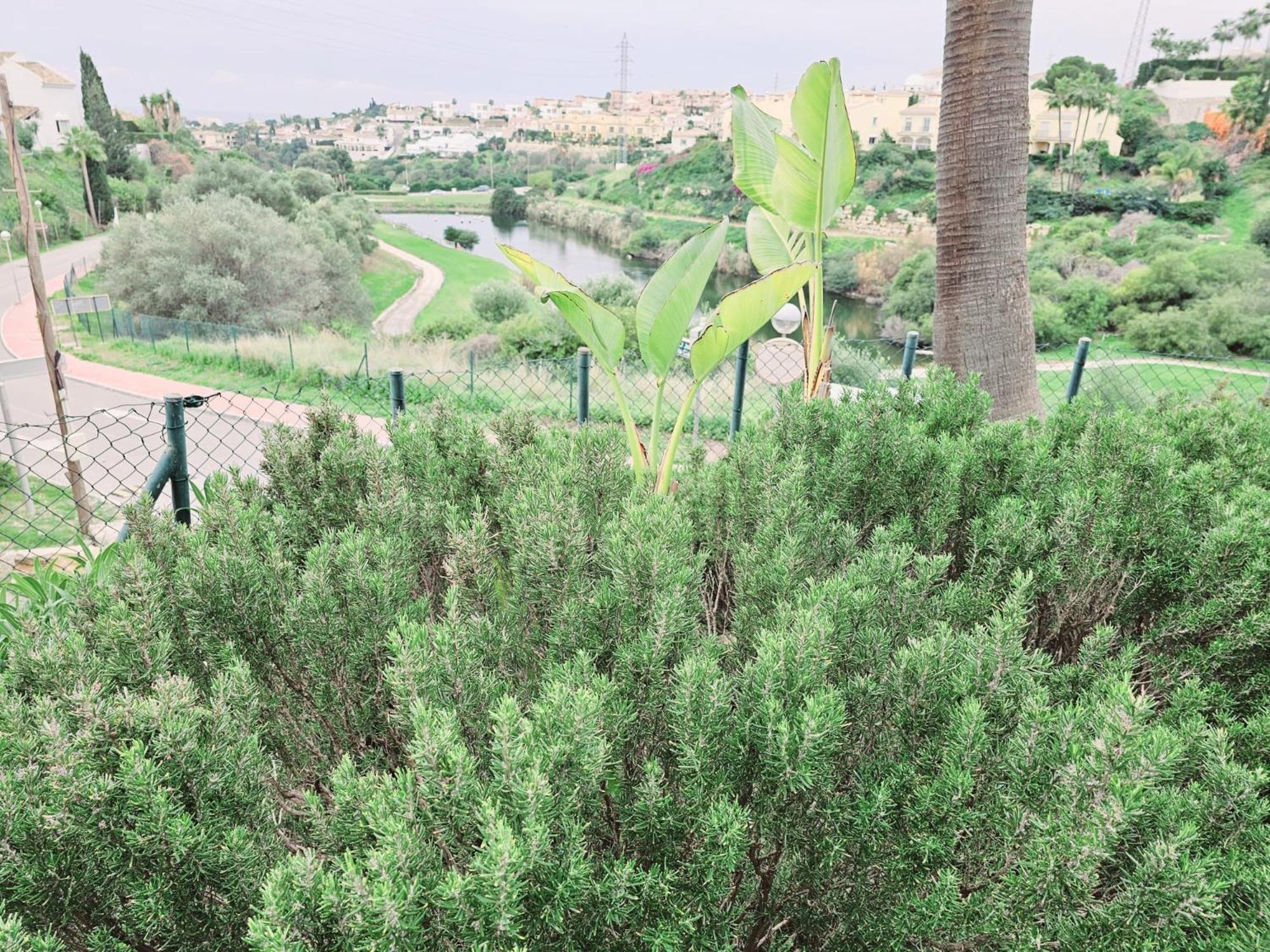 Zafir With 2 Bedroom And Private Garden Málaga
